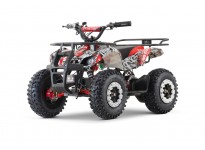 Torino 1200W 48V Elektriska 4-hjuling Quad for Barn på L-profildäck