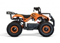 Torino 1000W 48V Elektriska 4-hjuling Quad for Barn på stora däck