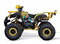 Toronto RS8A  125cc Petrol Quad Bike Automatic 