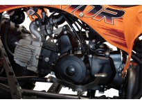 Warrior GS 3G8 Sport 125 4-Hjuling Quad Automatisk, 4-taktsmotor, Elektrisk start, Nitro Motors
