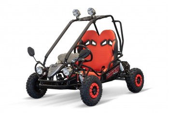 750W 60V Kids Electric Mini Buggy 