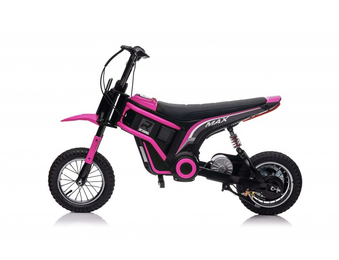 Eco Max 350W 24V Electric Dirt Bike Kids Motorbike