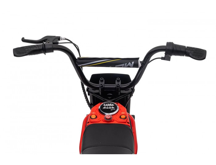 Eco Max 350W 24V Electric Dirt Bike Kids Motorbike