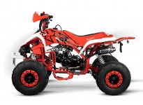 Panthera RG7 125cc Petrol Midi Quad Bike Automatic, 4 Stroke Engine, Electric Start, Nitro Motors