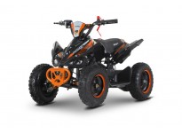 Python 49cc PETROL KIDS MINI QUAD BIKE