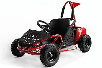 GoKid 1000W 48V Elektro Kinder Buggy