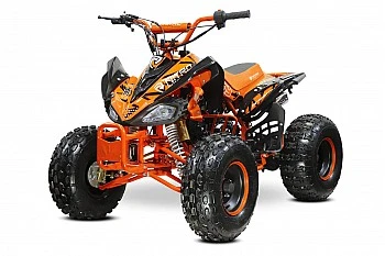 Speedy RG8 S 125 Midi Quad Bike