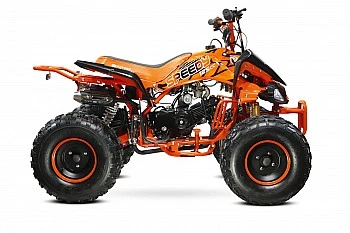 Speedy RG8 S 125 Midi Quad Bike