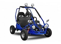 450W 36V Elektro Kinder Buggy mit Rückwärtsgang