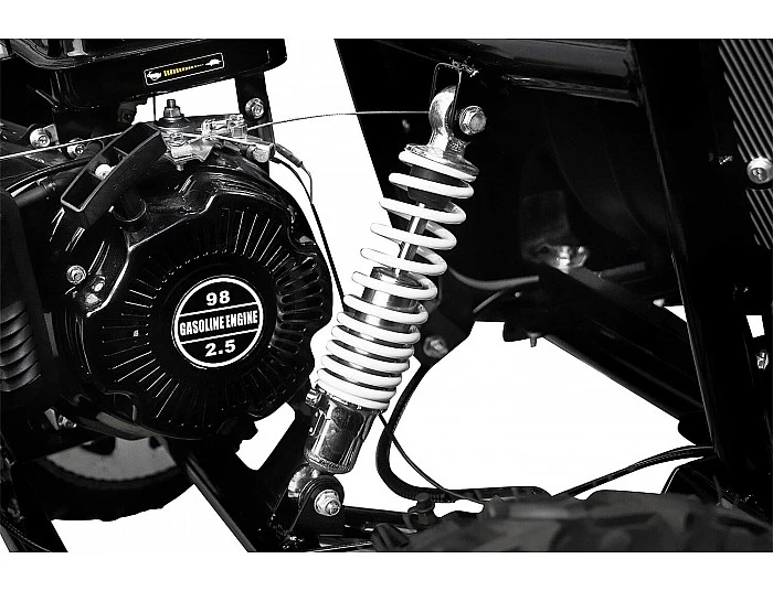 GoKid Dirty 98cc Kinder Buggy von Nitro Motors